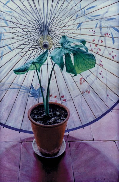 Chinese Umbrella by Simon Cook